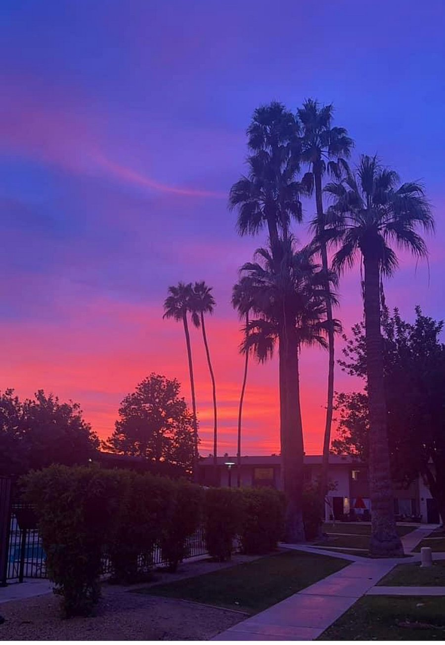 Sunset from back patio