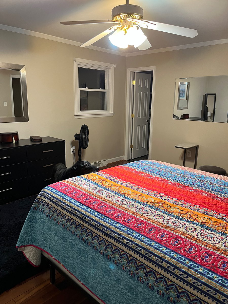 Furnished Finder property 496296_1 photo 8