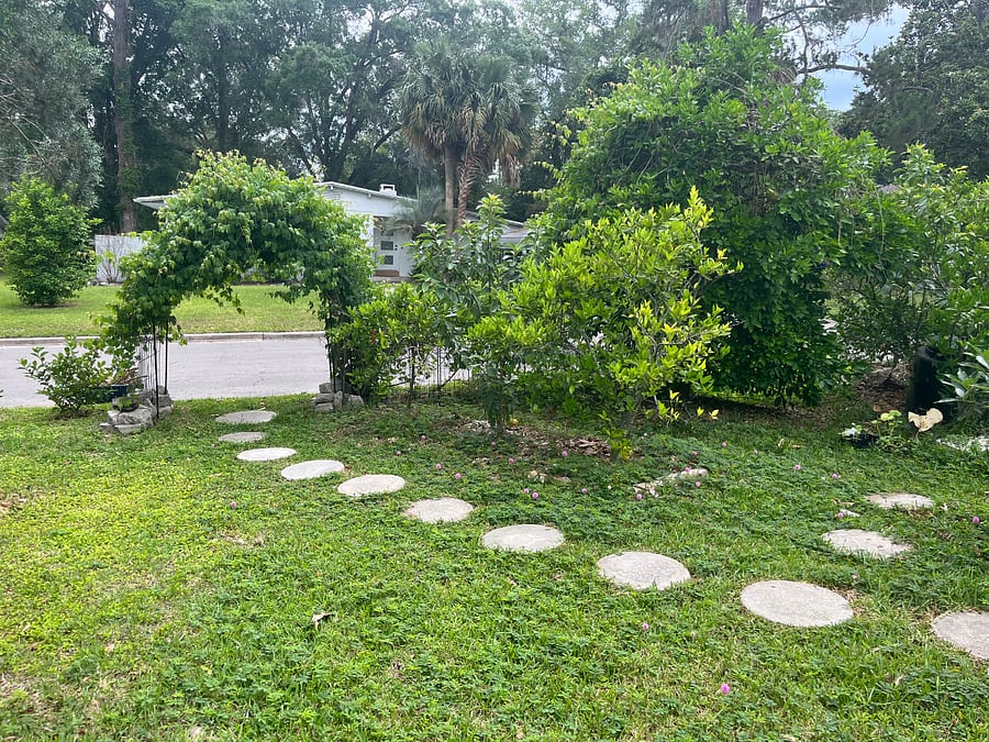 Furnished Finder property 496344_1 photo 14