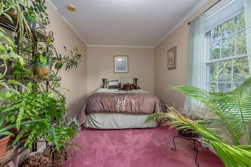 Furnished Finder property 496392_1 photo 29
