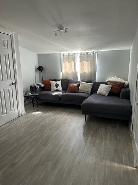 Backroom couch