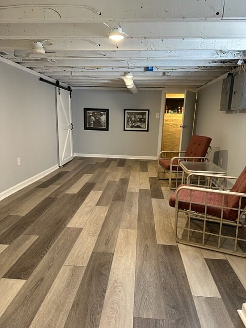 Bonus Room in basement