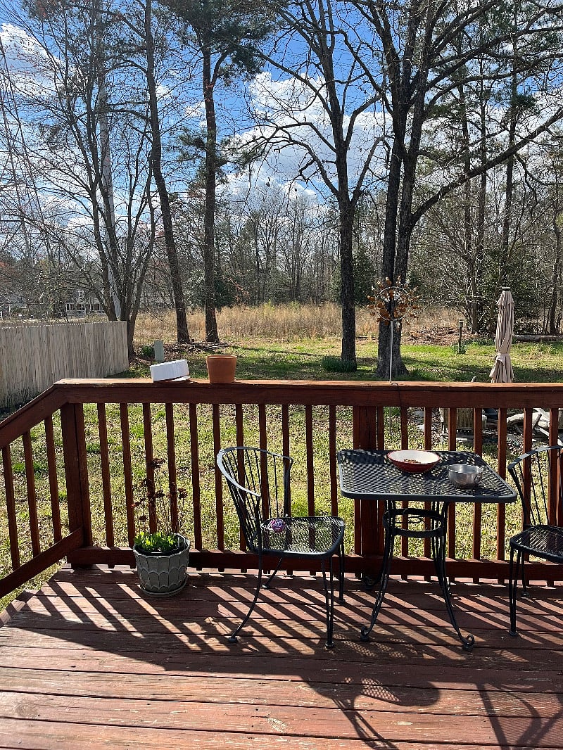Big, private backyard, Firepit,
Umbrella with teak lounge chairs