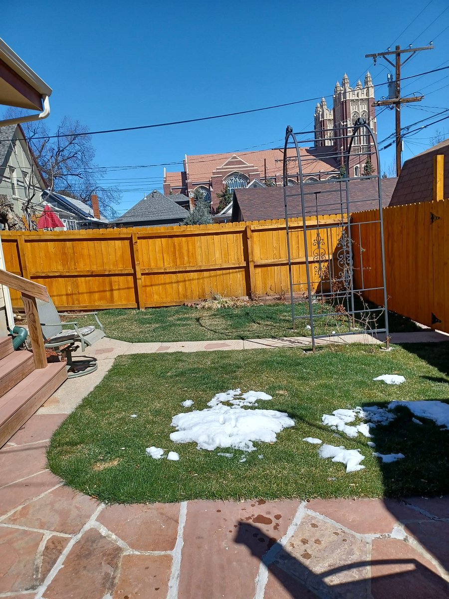 The studio includes a small private, fully fenced backyard which will be full of flowers in a few months. BBQ and patio furniture make this space perfect for relaxing outside.
Small quiet dogs are welcome!