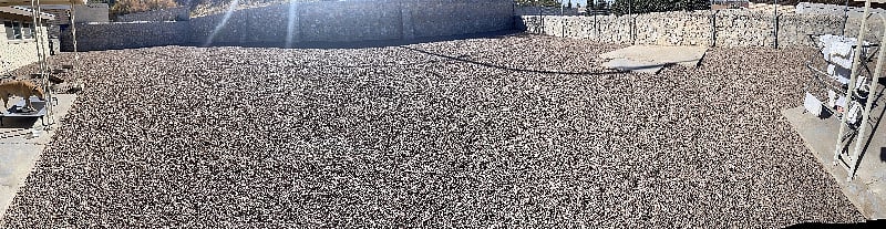 Big backyard + no weeds/stickers!