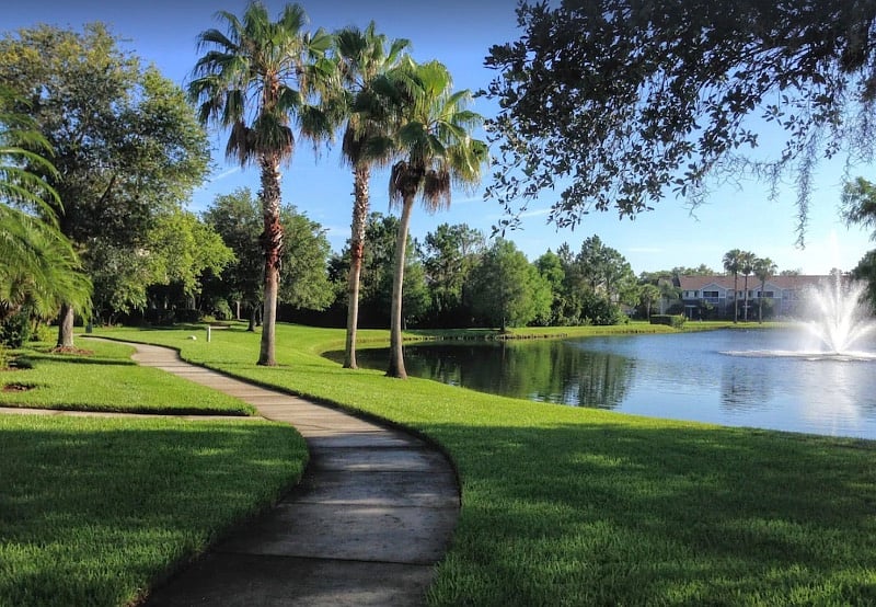 Furnished Finder property 496714_1 photo 14