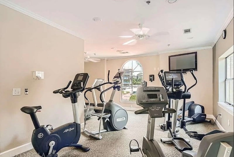 Furnished Finder property 496920_1 photo 12