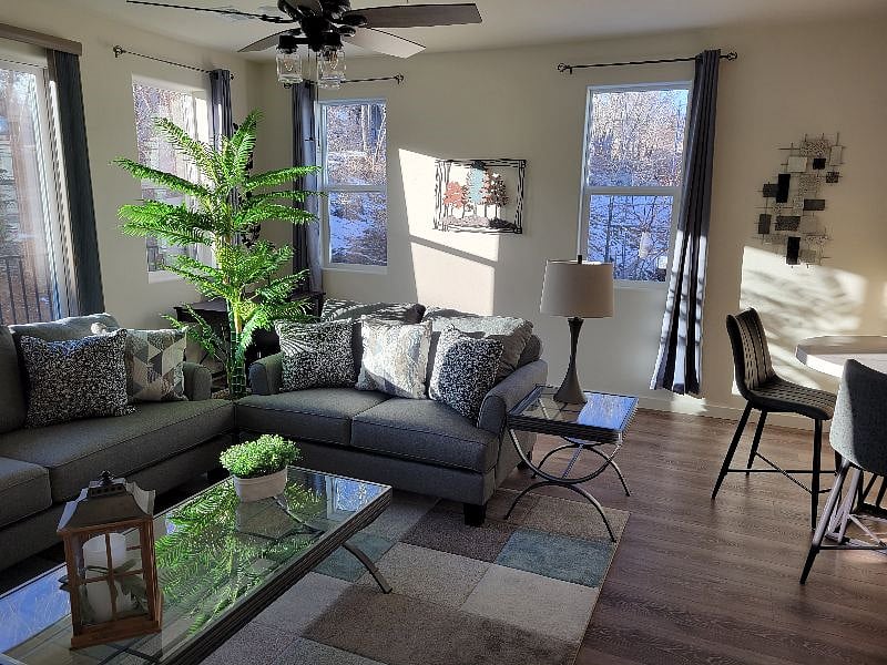 Plenty of living room natural daylight