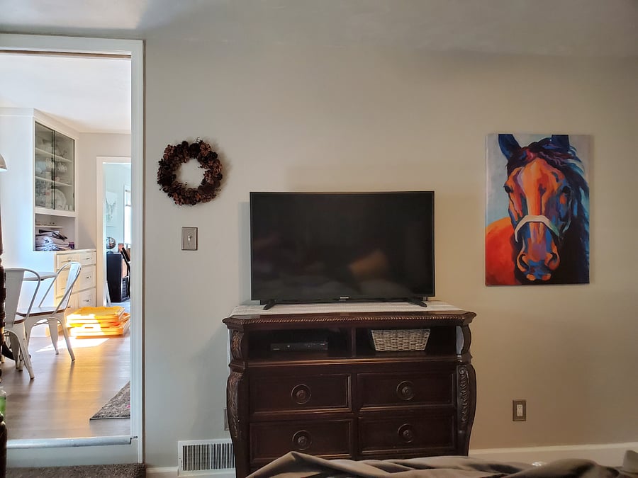 tv in bedroom #1