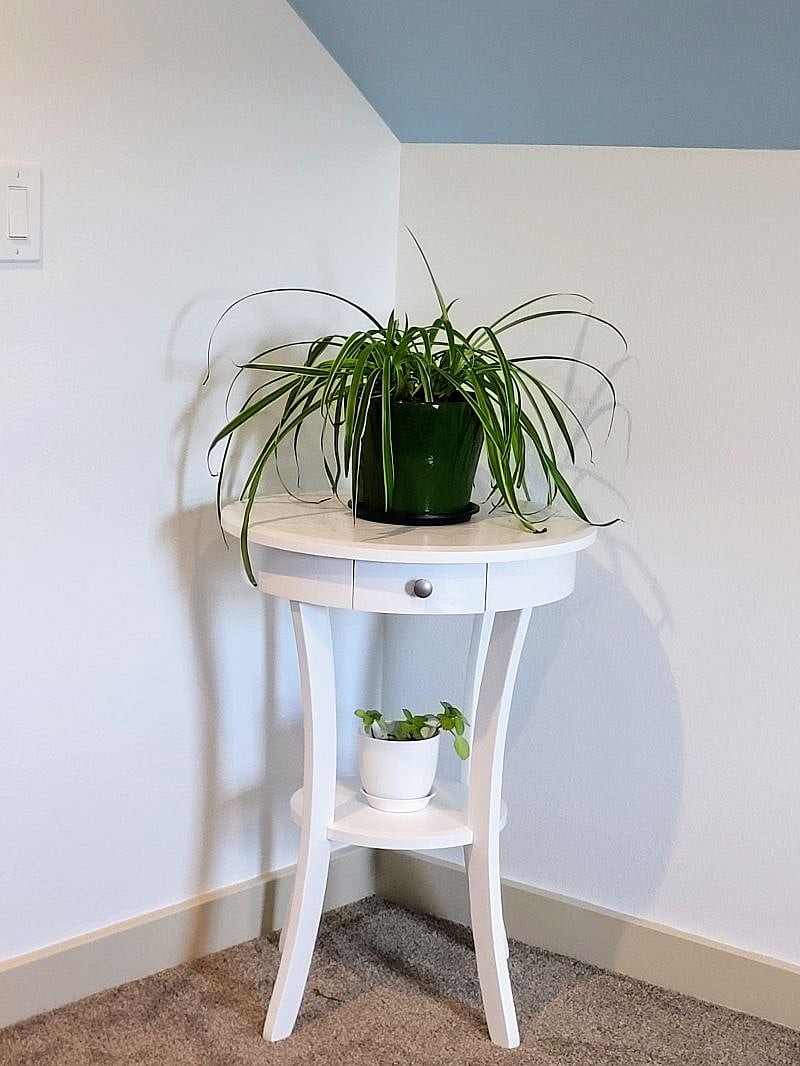 Lots of plants throughout house