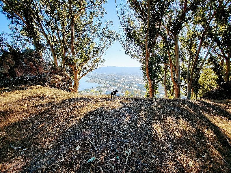 Bayview Park, the local hidden gem