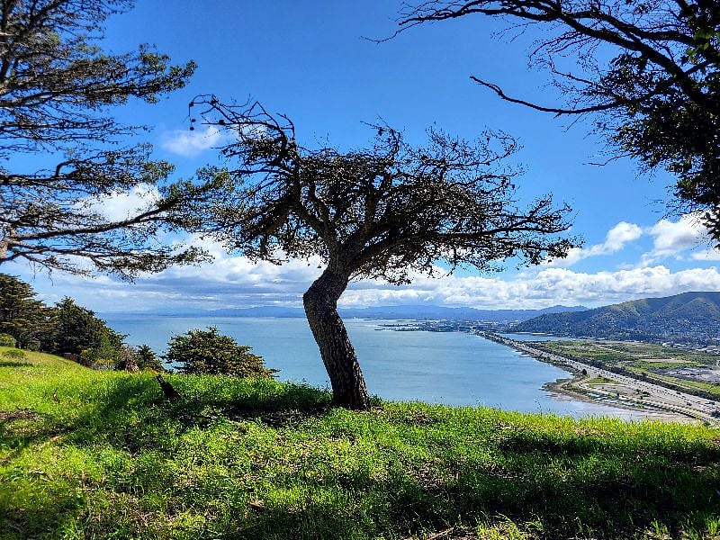 View from Bayview Park