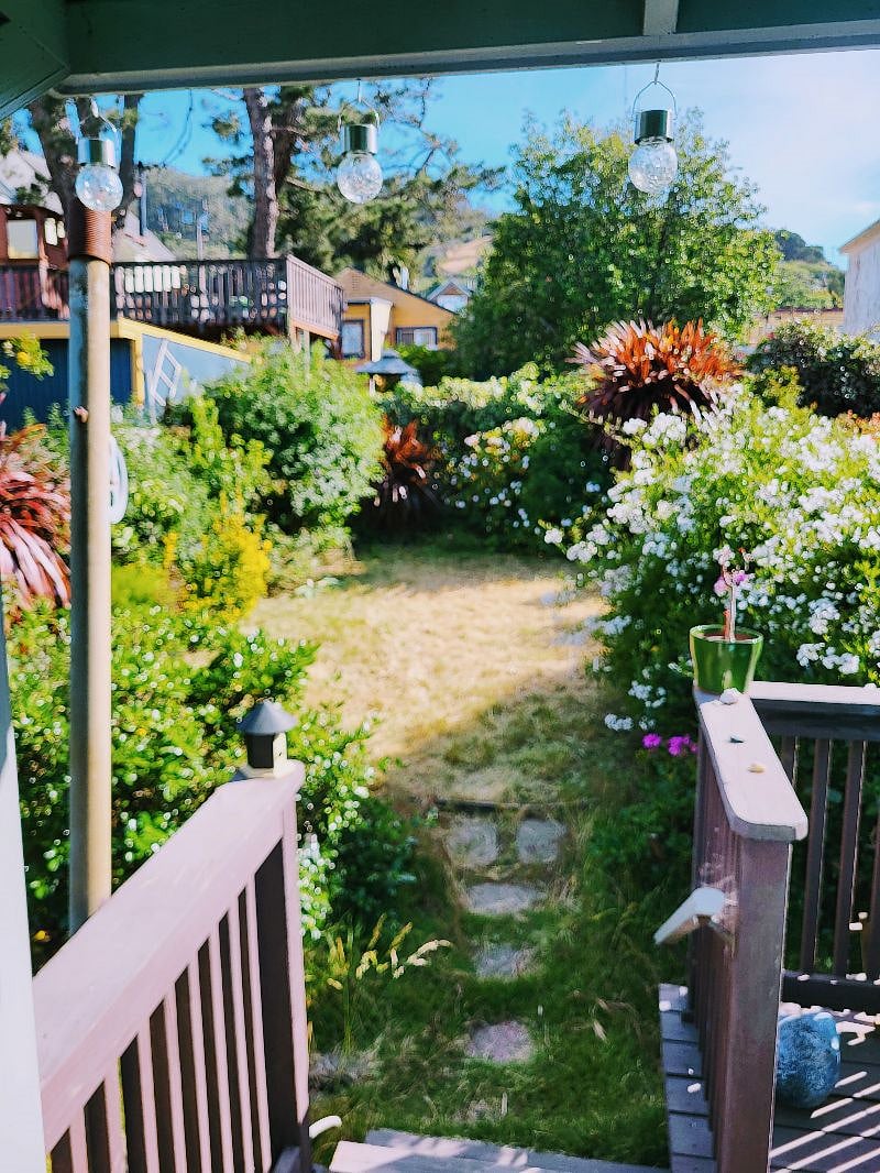 Back garden