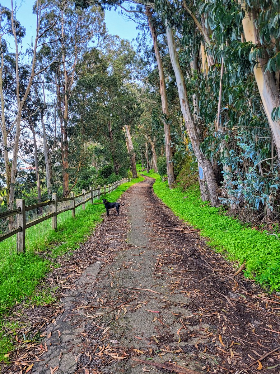 Back on the trail in Bayview Park