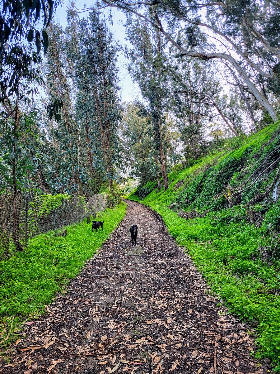 Bayview Park (the hill you can see at the back of the house) has been described as SF's "most underrated park."
https://www.sfchronicle.com/sf/article/bayview-park-17717153.php