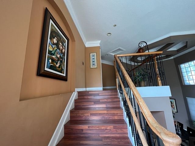 Furnished Finder property 497665_1 photo 15