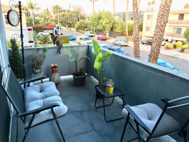 Furnished Finder property 497733_1 photo 15
