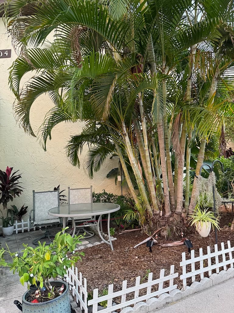 Furnished Finder property 497735_1 photo 3