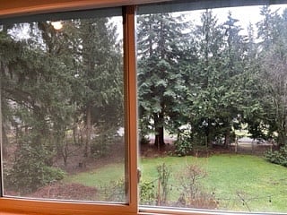 room with a view