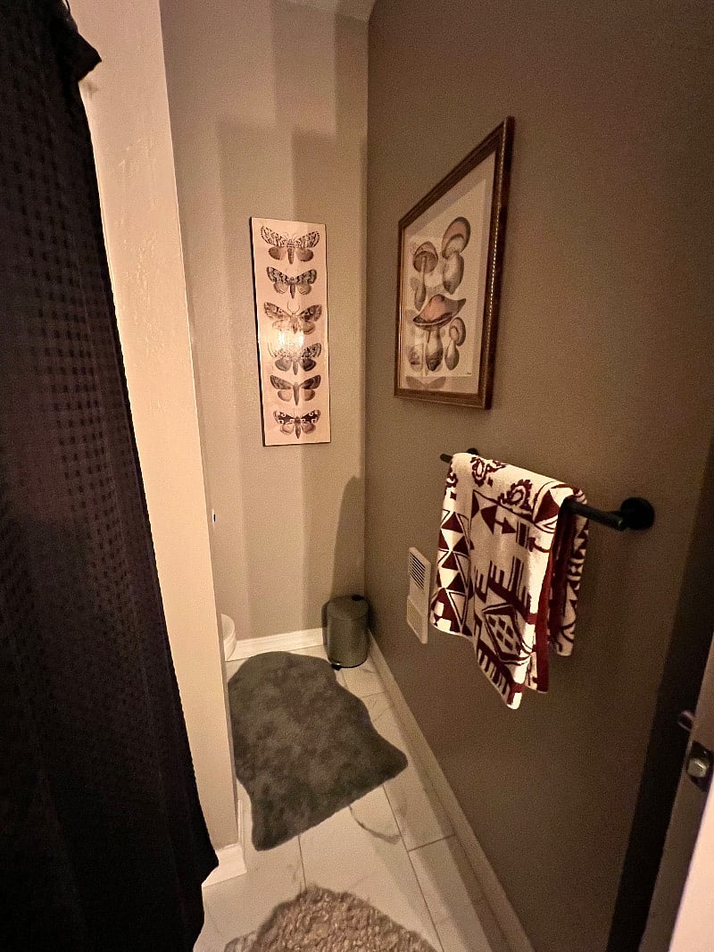 Furnished Finder property 497859_1 photo 28