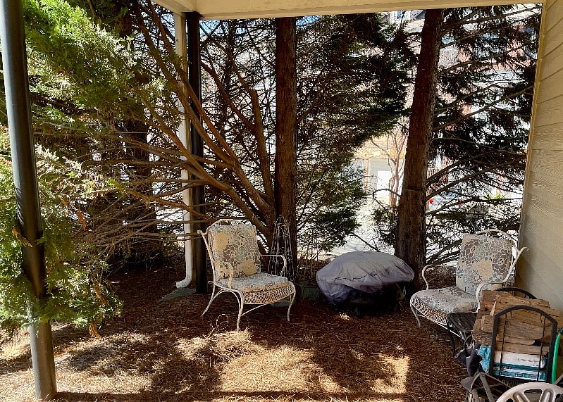 Furnished Finder property 497877_1 photo 16