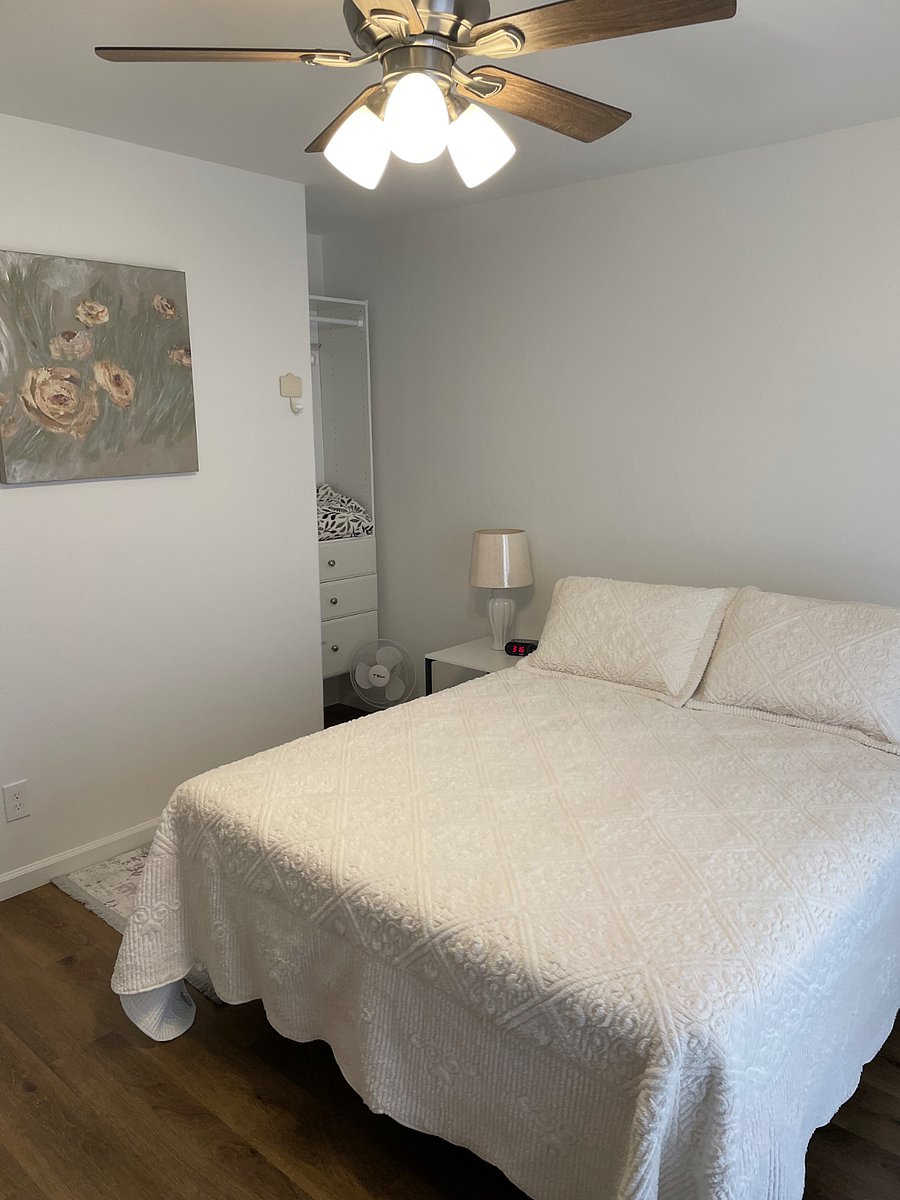 Furnished Finder property 498009_1 photo 5