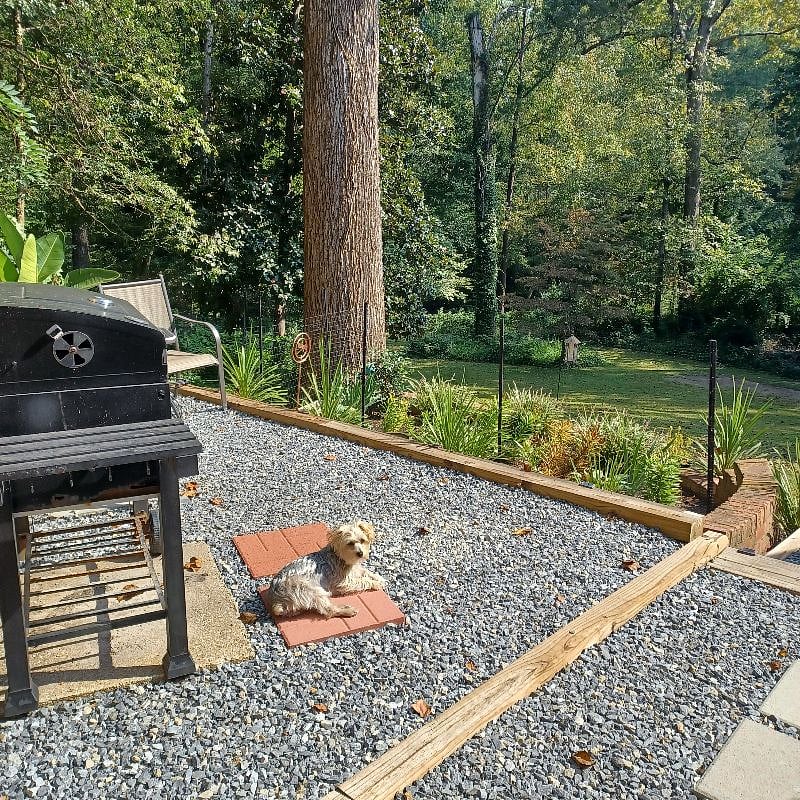 Furnished Finder property 498027_1 photo 16