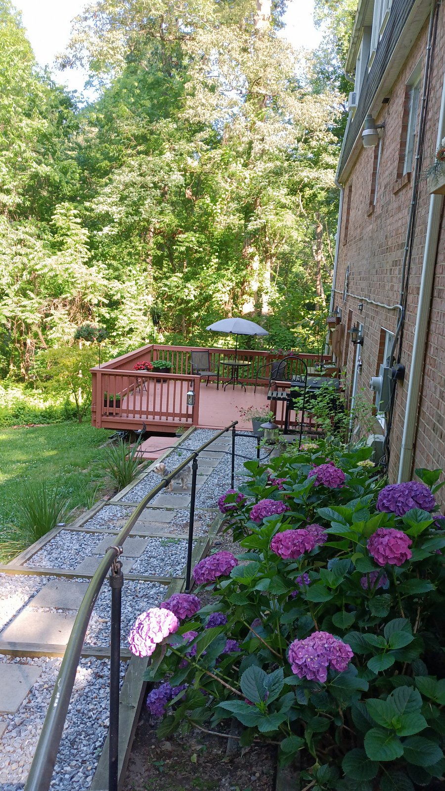 The walkway to your deck enterance.
