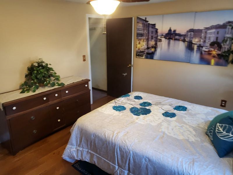 Furnished Finder property 498305_1 photo 3