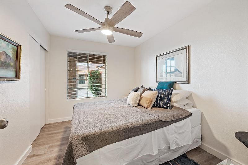 Furnished Finder property 498323_1 photo 19