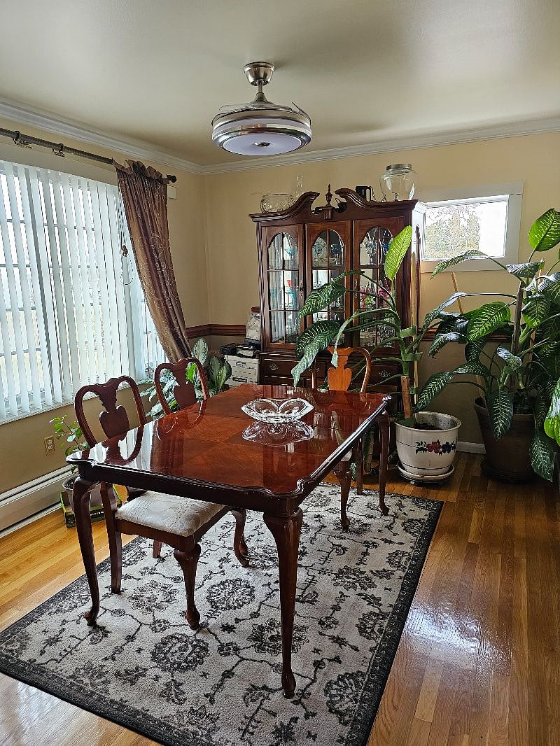 Furnished Finder property 498552_2 photo 5