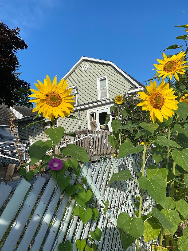 House view from driveway in September
