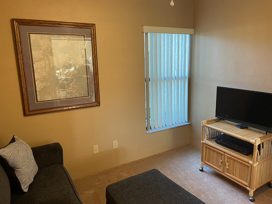 Furnished Finder property 498595_1 photo 16