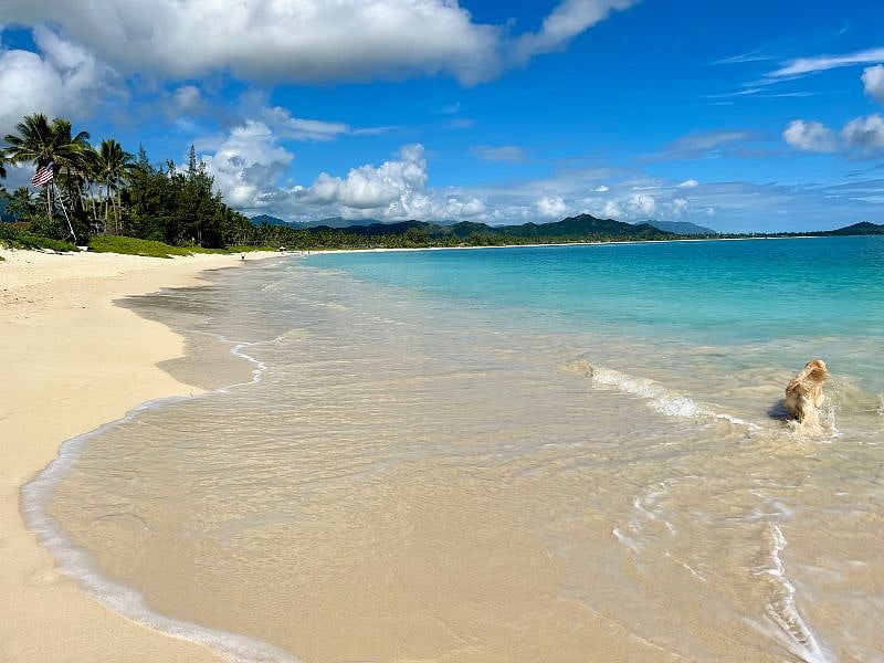 A gorgeous turquoise water day at the beach, just steps away