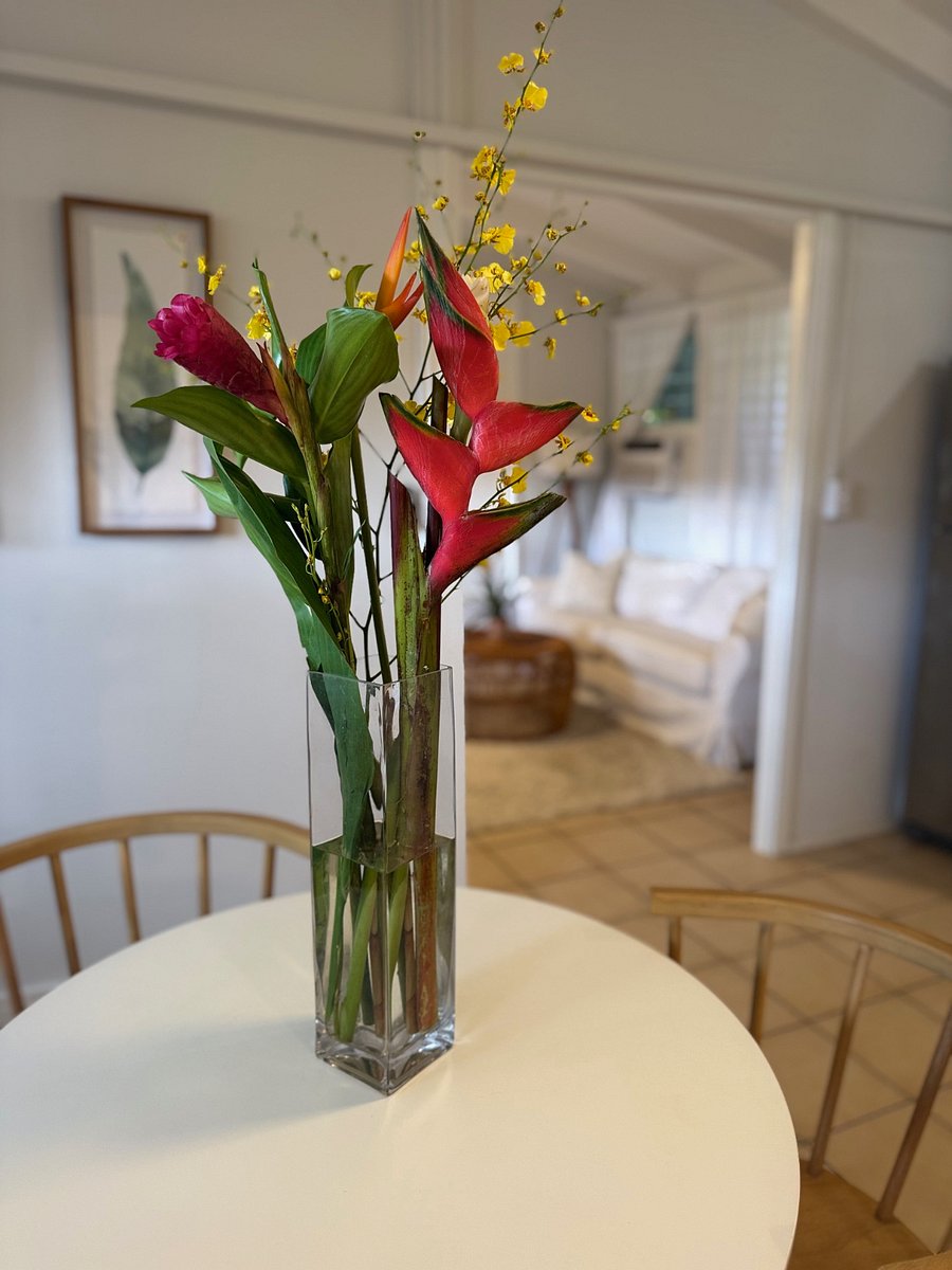 Furnished Finder property 498658_1 photo 6