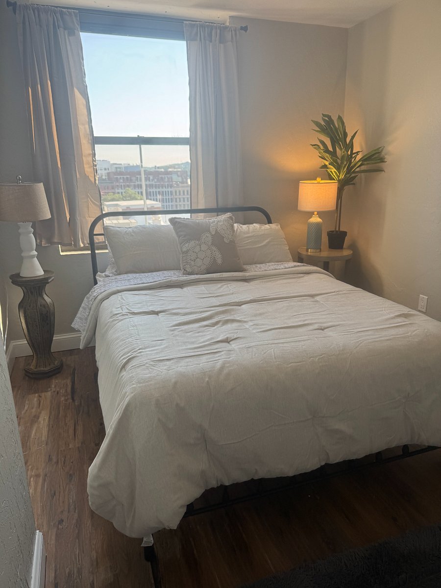 Furnished Finder property 498677_1 photo 11