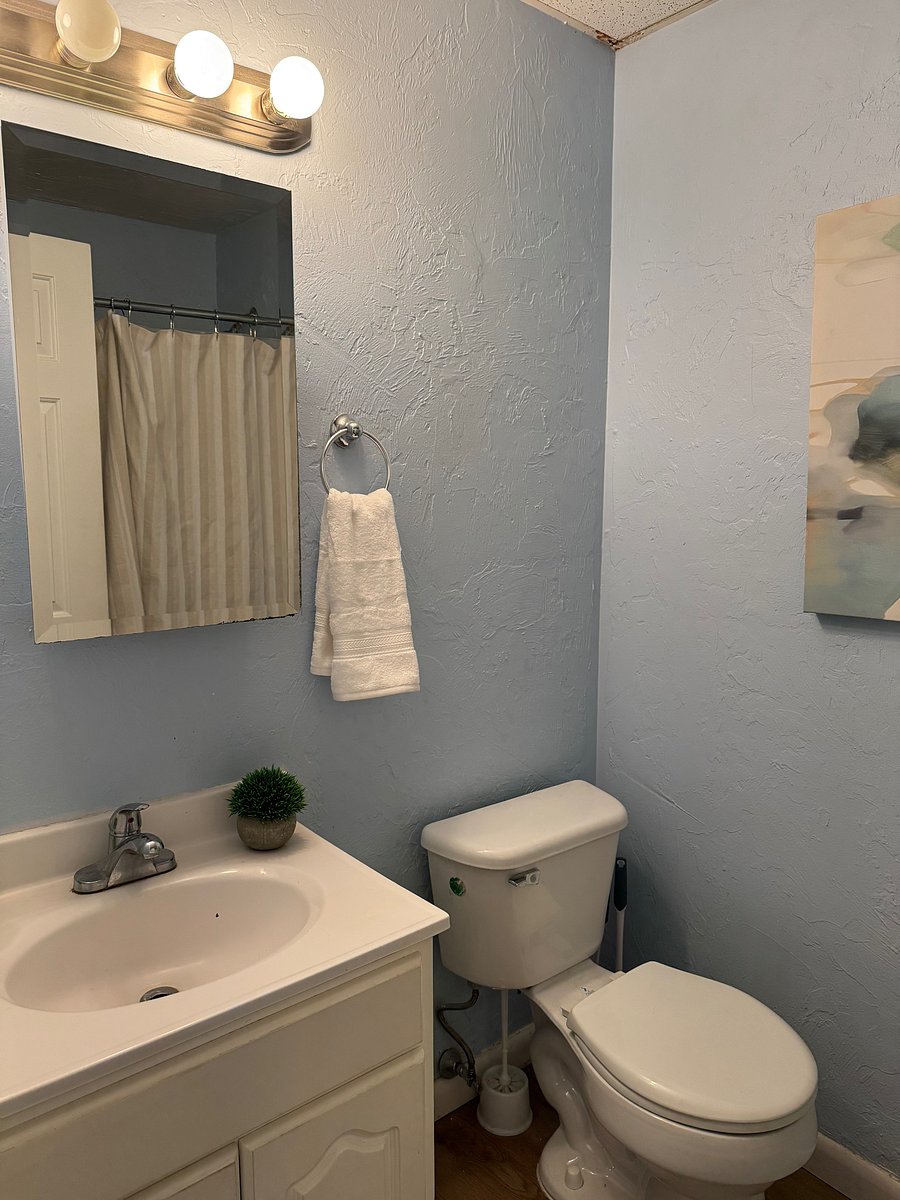 Furnished Finder property 498677_3 photo 27