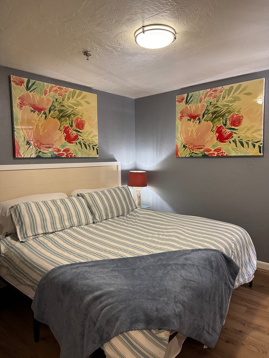 Furnished Finder property 498677_3 photo 10