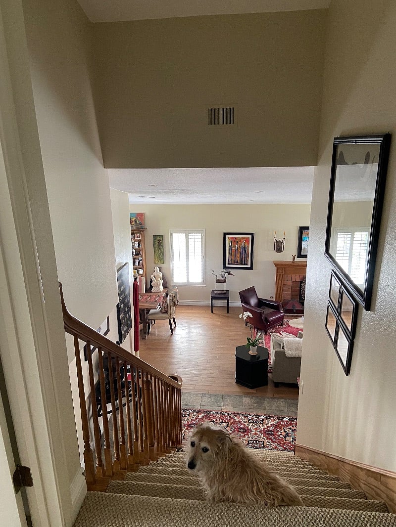 Furnished Finder property 498719_1 photo 7