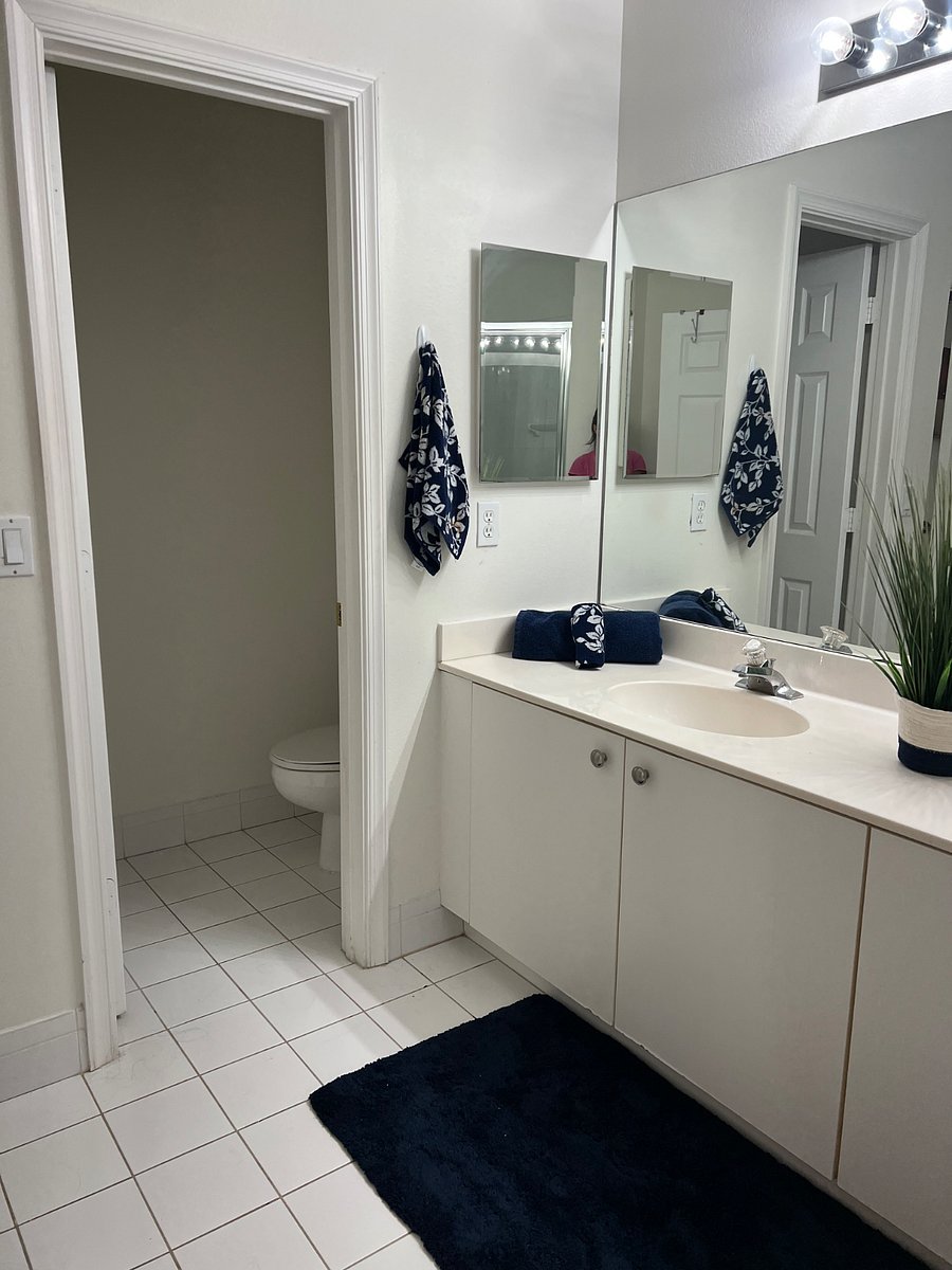 Furnished Finder property 498725_1 photo 18