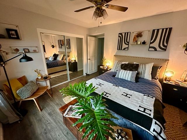 Furnished Finder property 498729_1 photo 24