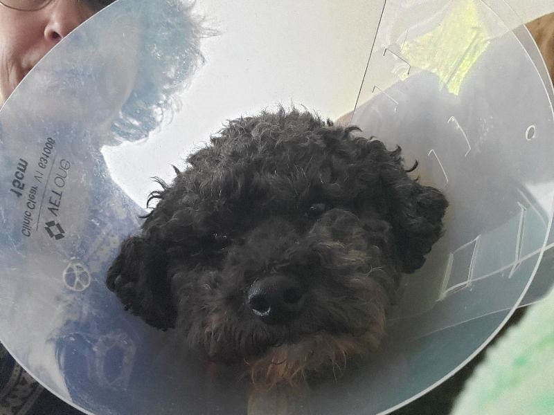 Charlie having a bad day