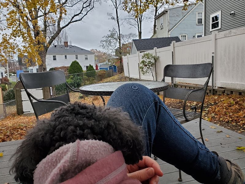 View from the glider bench on the deck. (That's Charlie on my lap.)