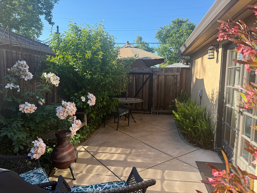 Furnished Finder property 498788_1 photo 11