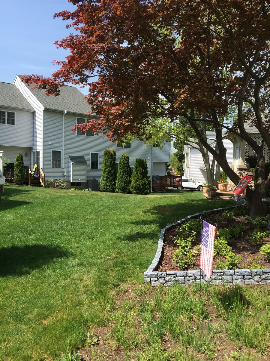 Furnished Finder property 498812_1 photo 12