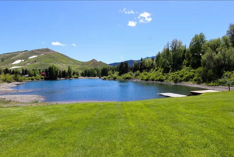 Furnished Finder property 498854_1 photo 13