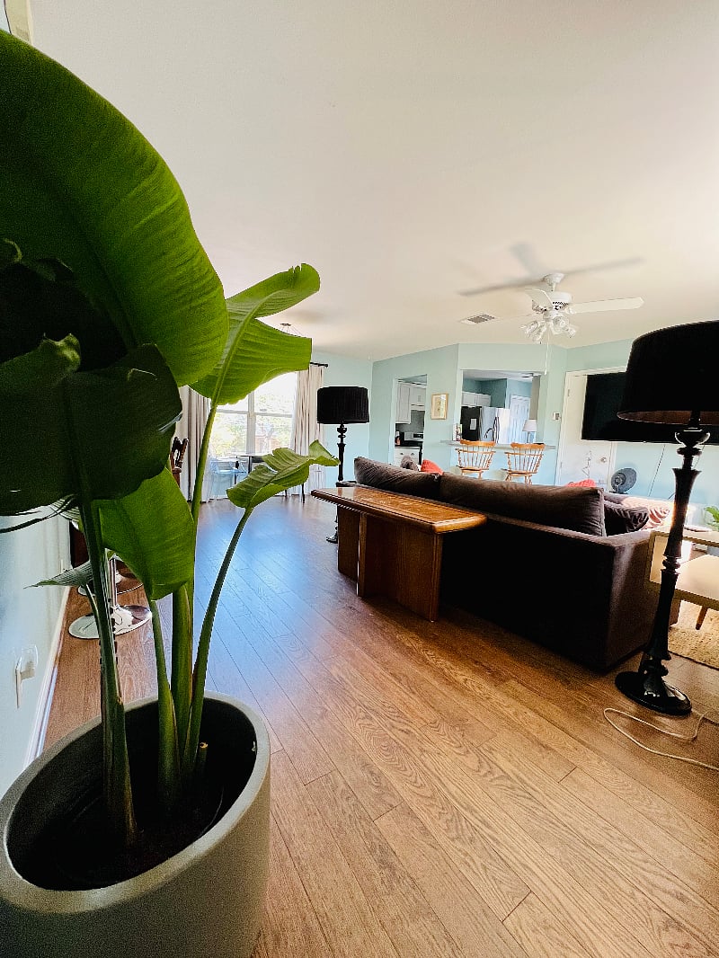 Furnished Finder property 499019_1 photo 3