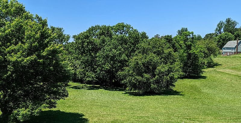 Back yard. Very quiet neighborhood