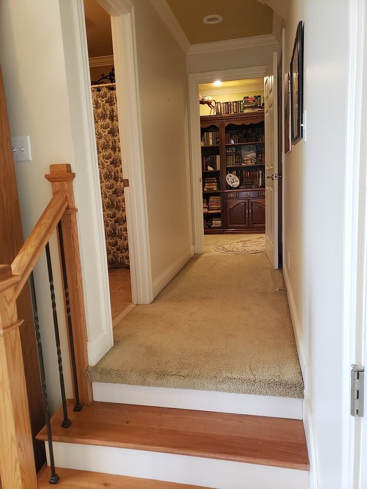Furnished Finder property 499169_1 photo 17
