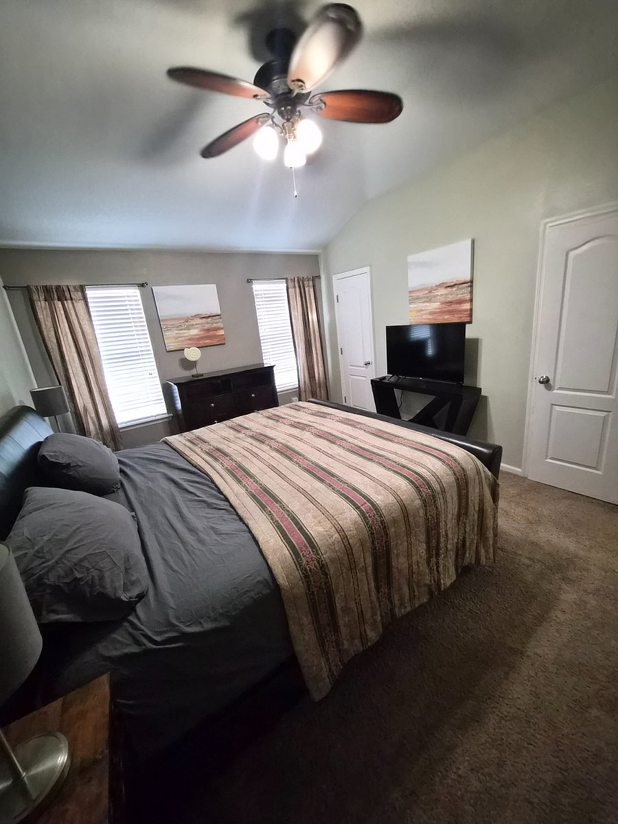 Furnished Finder property 499183_1 photo 11